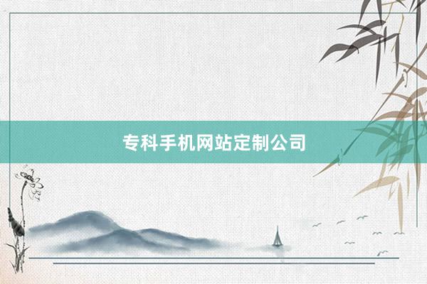专科手机网站定制公司
