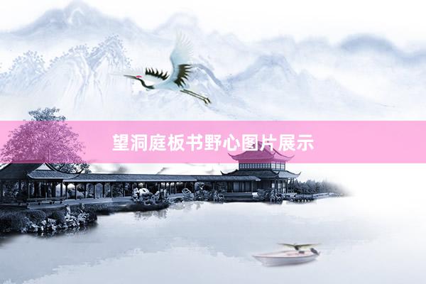 望洞庭板书野心图片展示