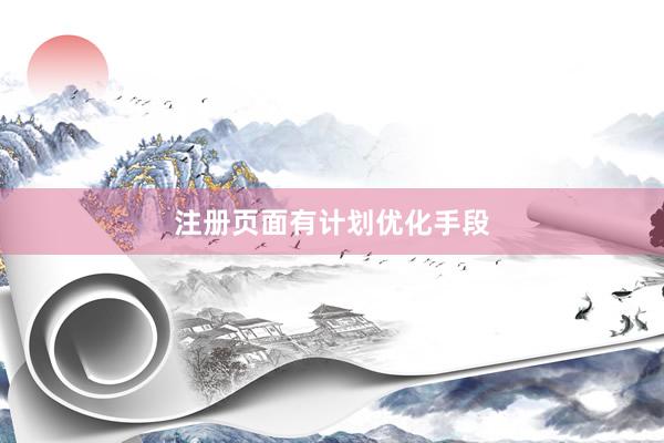 注册页面有计划优化手段