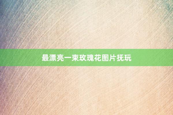最漂亮一束玫瑰花图片抚玩