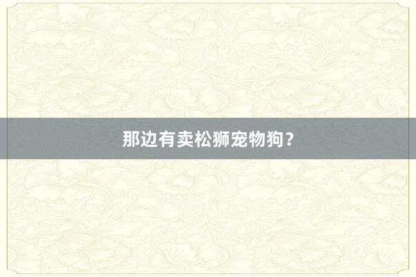 那边有卖松狮宠物狗？