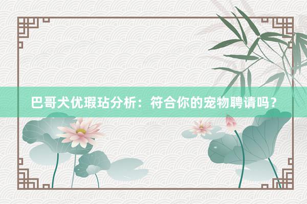 巴哥犬优瑕玷分析：符合你的宠物聘请吗？