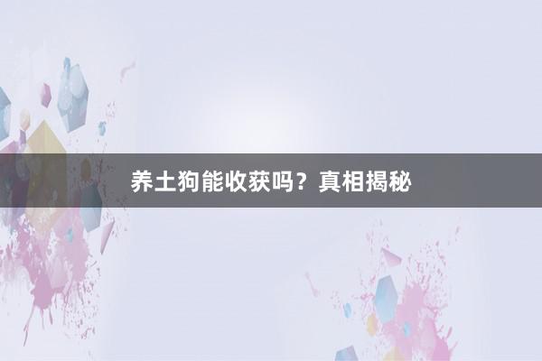 养土狗能收获吗？真相揭秘