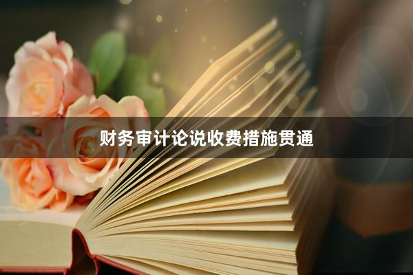 财务审计论说收费措施贯通